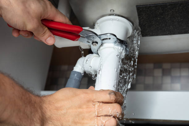 Best Professional water damage repair  in Marquette Heights, IL