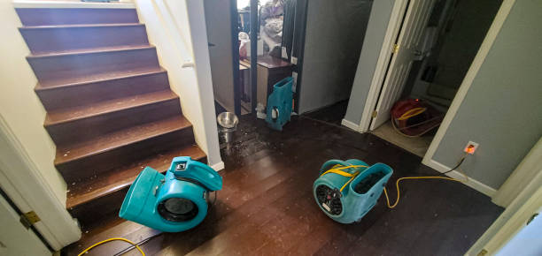 Best Basement water damage restoration  in Marquette Heights, IL