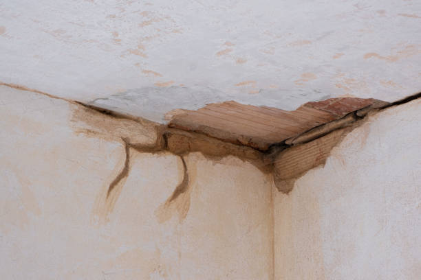 Best Water damage restoration insurance claims  in Marquette Heights, IL