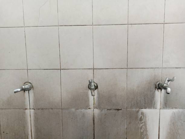 Best Emergency water damage restoration  in Marquette Heights, IL