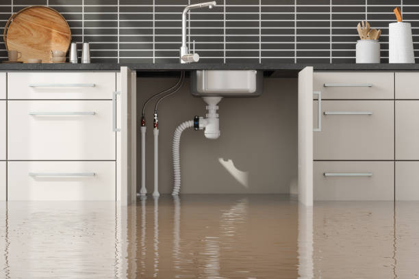 Best Water damage restoration near me  in Marquette Heights, IL