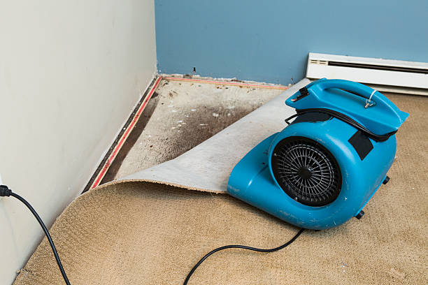 Best Fire Damage Restoration  in Marquette Heights, IL